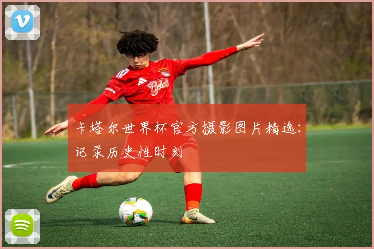 卡塔尔世界杯官方摄影图片精选:记录历史性时刻