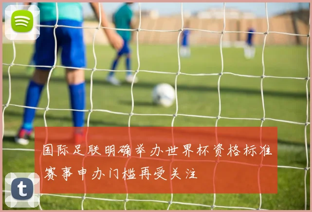 国际足联明确举办世界杯资格标准 赛事申办门槛再受关注
