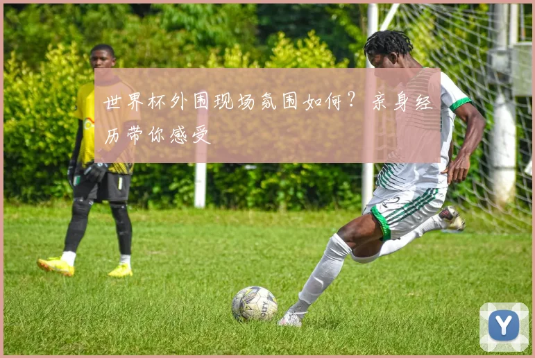 世界杯外围现场氛围如何？亲身经历带你感受