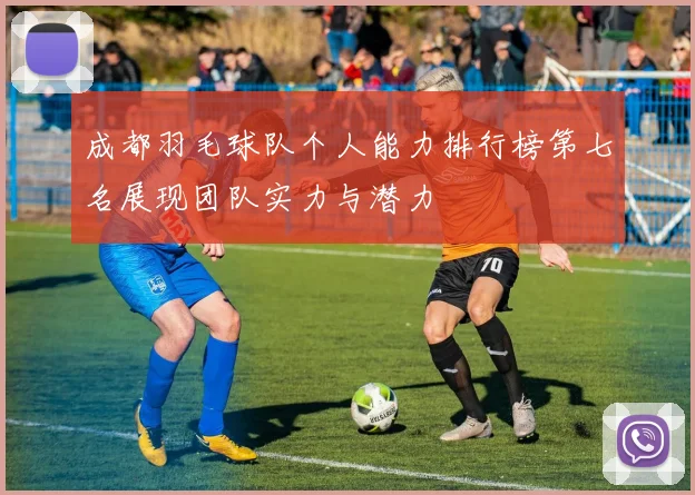 成都羽毛球队个人能力排行榜第七名展现团队实力与潜力