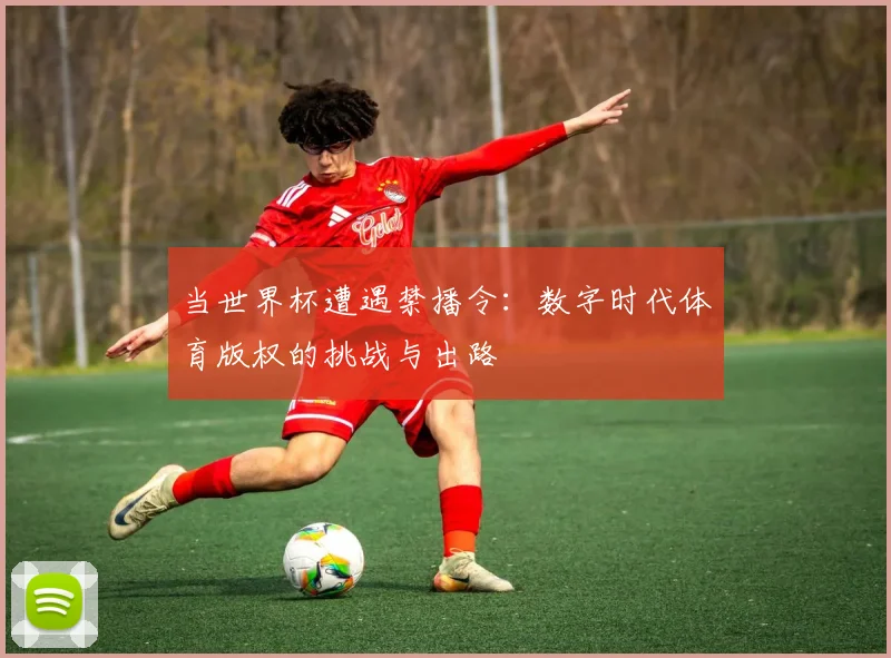 当世界杯遭遇禁播令：数字时代体育版权的挑战与出路