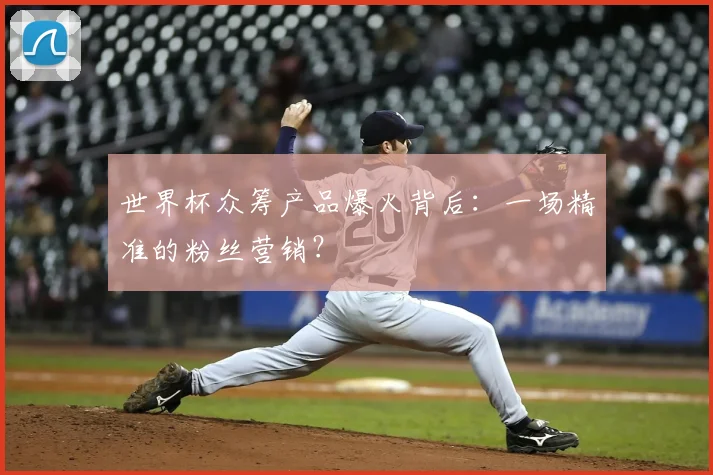世界杯众筹产品爆火背后:一场精准的粉丝营销?