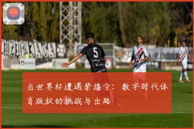 当世界杯遭遇禁播令：数字时代体育版权的挑战与出路