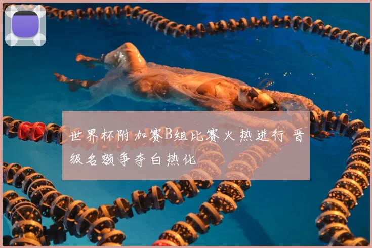 世界杯附加赛B组比赛火热进行 晋级名额争夺白热化