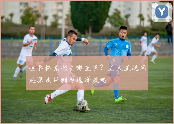 世界杯竞彩去哪里买？五大正规网站深度评测与选择攻略