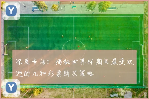 深度专访：揭秘世界杯期间最受欢迎的几种彩票购买策略