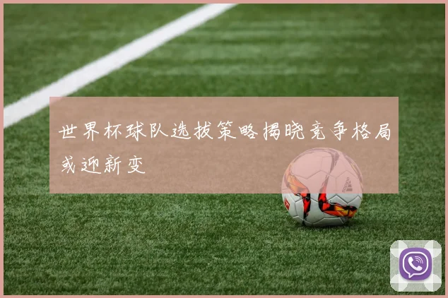 世界杯球队选拔策略揭晓竞争格局或迎新变