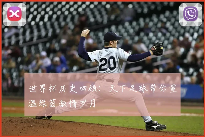 世界杯历史回顾：天下足球带你重温绿茵激情岁月